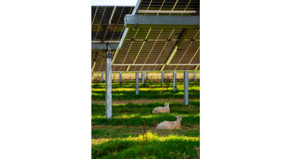 1831711591403936.jpg 64.jpg