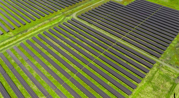 401711591420934.jpg 65.jpg