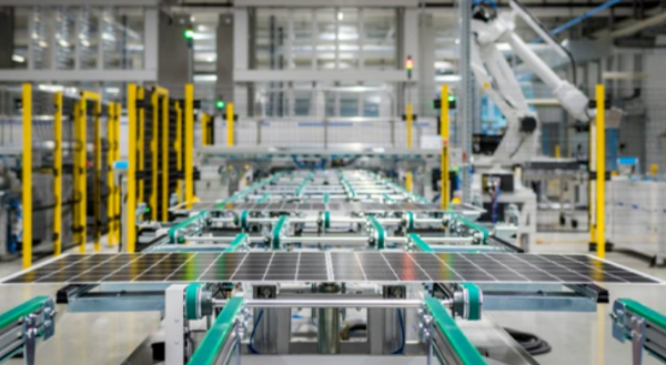 544171159448123.jpg 66.jpg